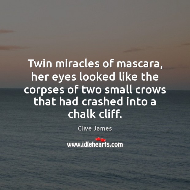 Twin miracles of mascara, her eyes looked like the corpses of two 