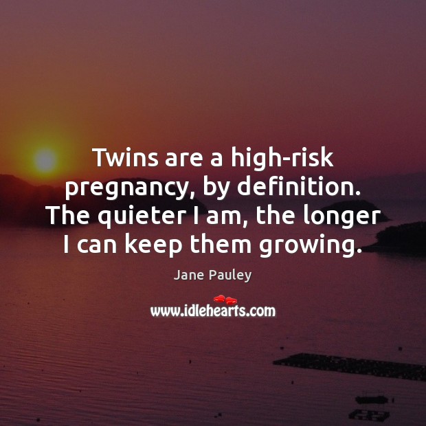Twins are a high-risk pregnancy, by definition. The quieter I am, the Image