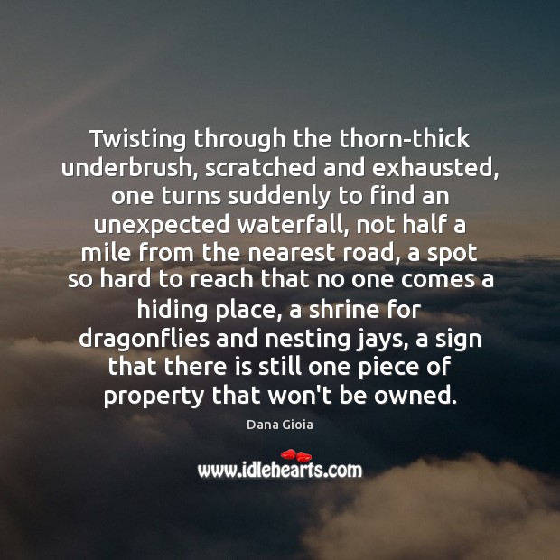 Twisting through the thorn-thick underbrush, scratched and exhausted, one turns suddenly to Dana Gioia Picture Quote