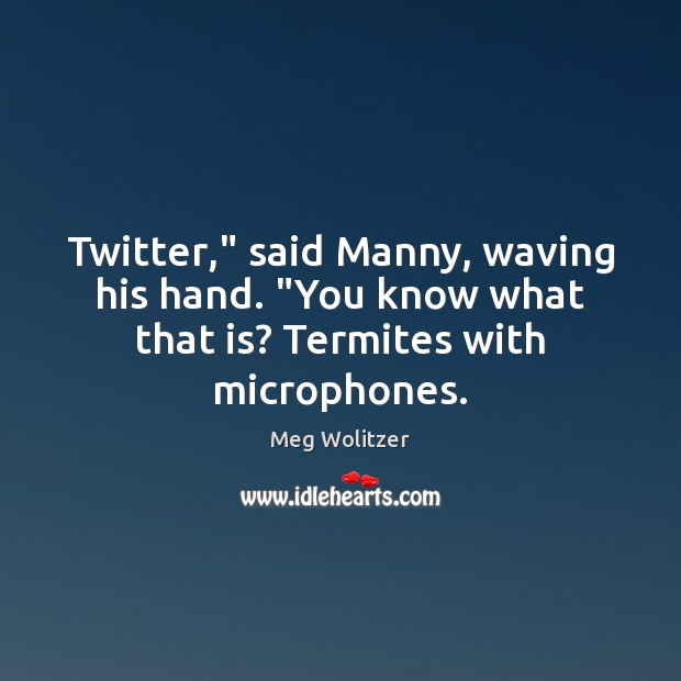 Twitter,” said Manny, waving his hand. “You know what that is? Termites with microphones. Meg Wolitzer Picture Quote