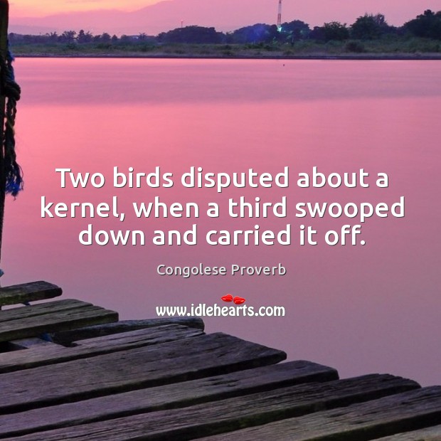 Two birds disputed about a kernel, when a third swooped down and carried it off. Congolese Proverbs Image