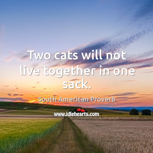 Two cats will not live together in one sack. South American Proverbs Image