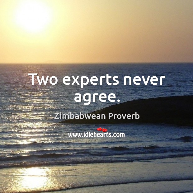 Two experts never agree. Zimbabwean Proverbs Image