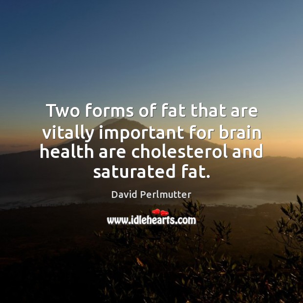 Two forms of fat that are vitally important for brain health are Health Quotes Image