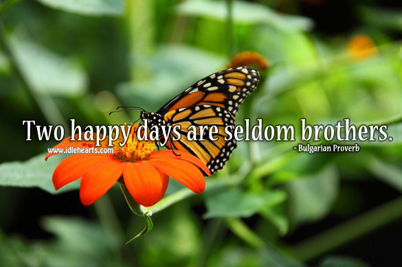 Two happy days are seldom brothers. Bulgarian Proverbs Image