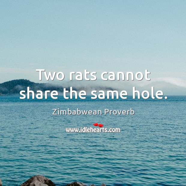 Two rats cannot share the same hole. Zimbabwean Proverbs Image