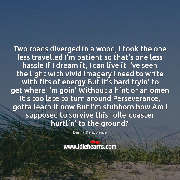 Two roads diverged in a wood, I took the one less travelled Danny Denzongpa Picture Quote