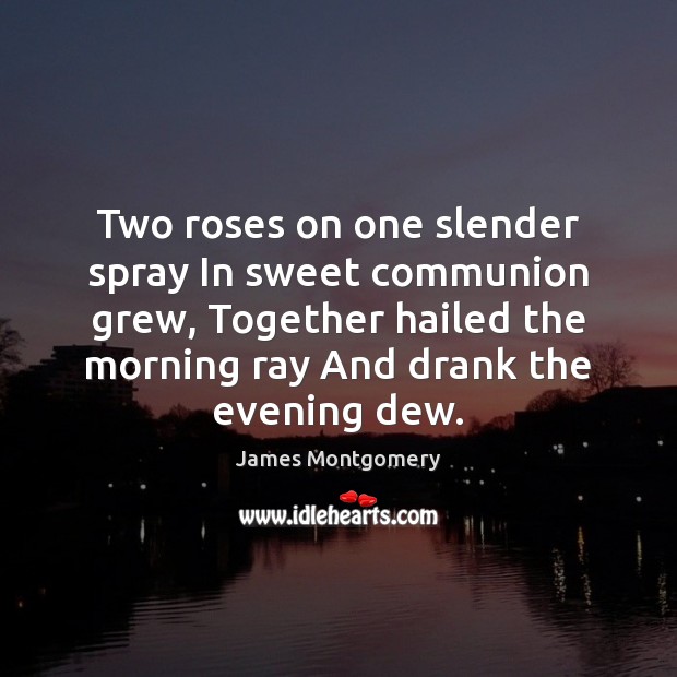 Two roses on one slender spray In sweet communion grew, Together hailed James Montgomery Picture Quote