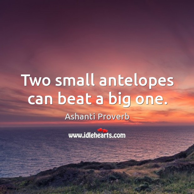 Two small antelopes can beat a big one. Ashanti Proverbs Image