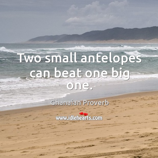 Two small antelopes can beat one big one. Ghanaian Proverbs Image