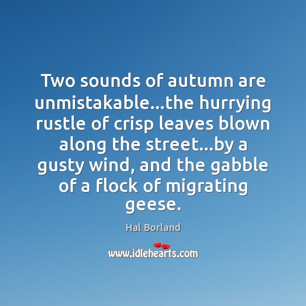 Two sounds of autumn are unmistakable…the hurrying rustle of crisp leaves Hal Borland Picture Quote
