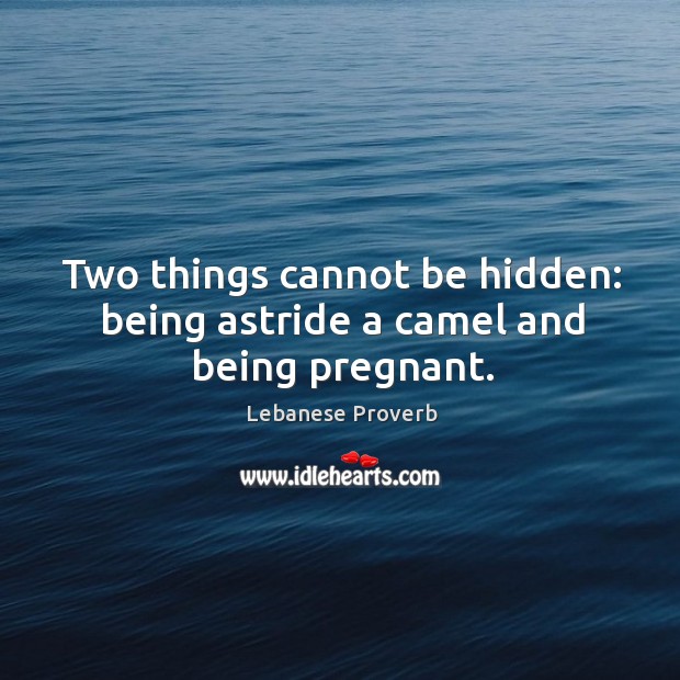 Two things cannot be hidden: being astride a camel and being pregnant. Lebanese Proverbs Image