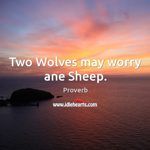 Two wolves may worry ane sheep. Image
