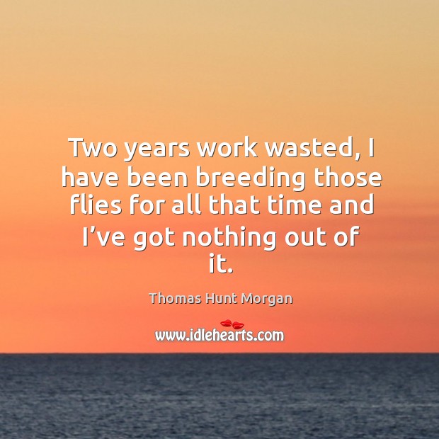 Two years work wasted, I have been breeding those flies for all that time and I’ve got nothing out of it. Thomas Hunt Morgan Picture Quote