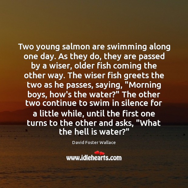 Two young salmon are swimming along one day. As they do, they David Foster Wallace Picture Quote