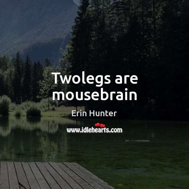 Twolegs are mousebrain Erin Hunter Picture Quote