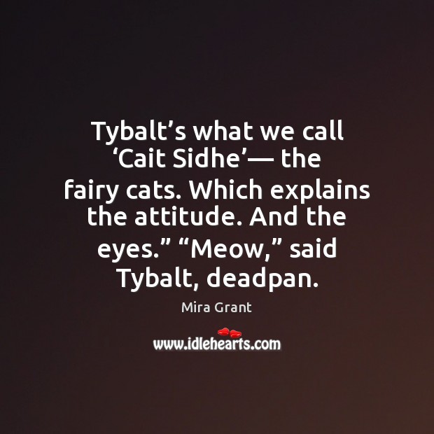 Tybalt’s what we call ‘Cait Sidhe’— the fairy cats. Which explains Mira Grant Picture Quote