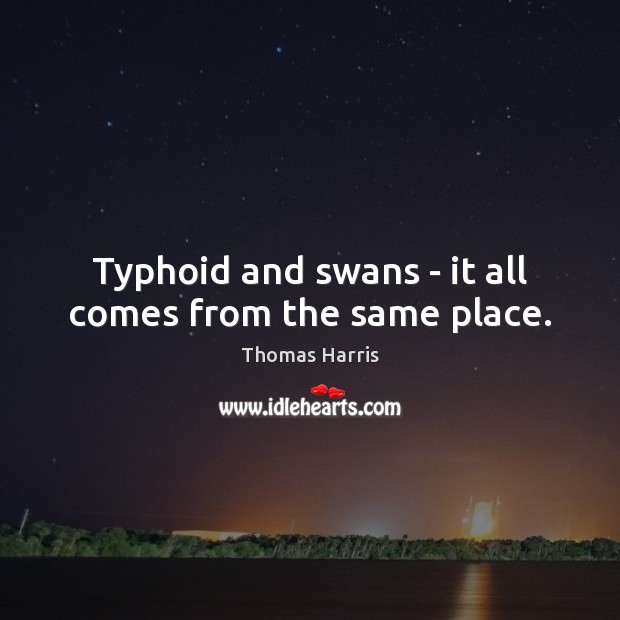 Typhoid and swans – it all comes from the same place. Thomas Harris Picture Quote