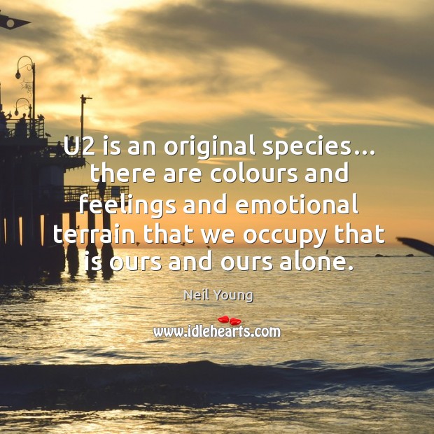 U2 is an original species… there are colours and feelings and emotional Image