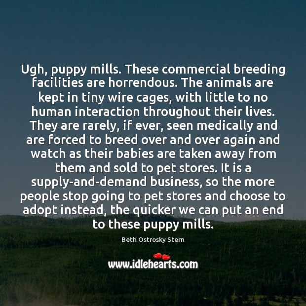 Ugh, puppy mills. These commercial breeding facilities are horrendous. The animals are Beth Ostrosky Stern Picture Quote