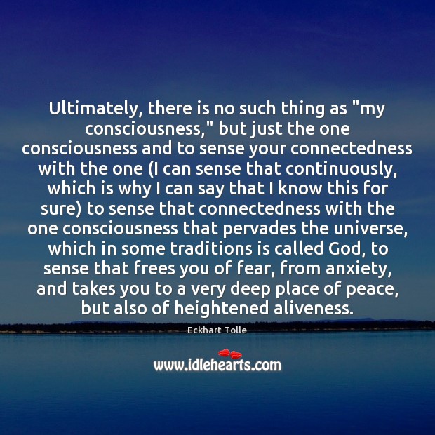 Ultimately, there is no such thing as “my consciousness,” but just the Image