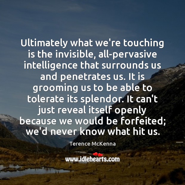 Ultimately what we’re touching is the invisible, all-pervasive intelligence that surrounds us Terence McKenna Picture Quote