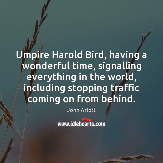 Umpire Harold Bird, having a wonderful time, signalling everything in the world, Image