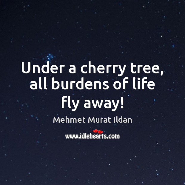 Under a cherry tree, all burdens of life fly away! Mehmet Murat Ildan Picture Quote