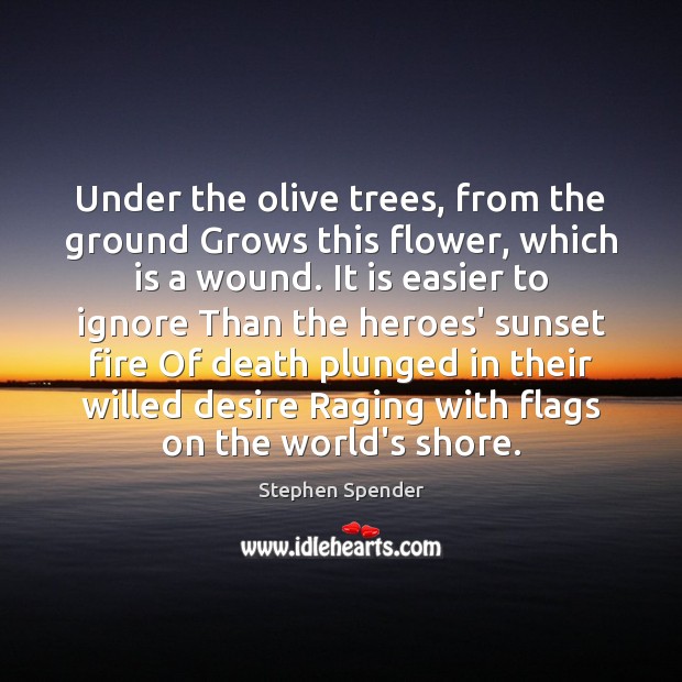 Under the olive trees, from the ground Grows this flower, which is Stephen Spender Picture Quote