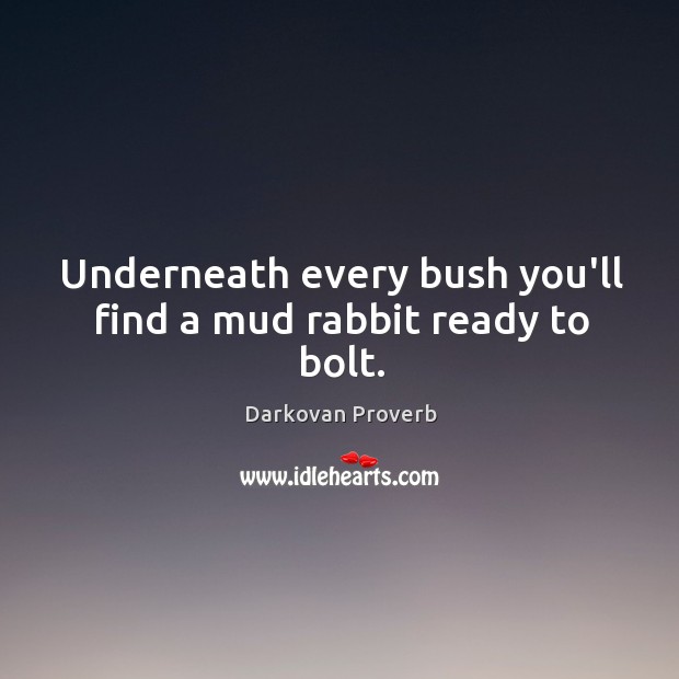 Underneath every bush you’ll find a mud rabbit ready to bolt. Darkovan Proverbs Image