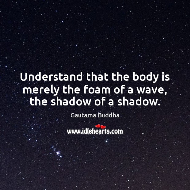 Understand that the body is merely the foam of a wave, the shadow of a shadow. Gautama Buddha Picture Quote