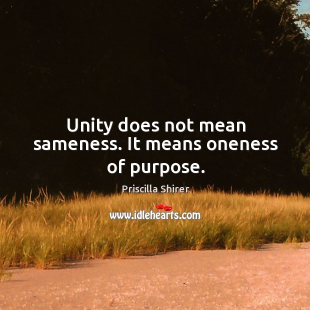 Unity does not mean sameness. It means oneness of purpose. Priscilla Shirer Picture Quote