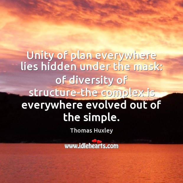 Unity of plan everywhere lies hidden under the mask: of diversity of Image