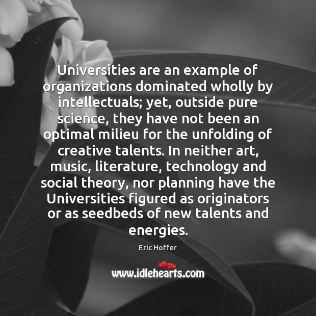 Universities are an example of organizations dominated wholly by intellectuals; yet, outside Eric Hoffer Picture Quote