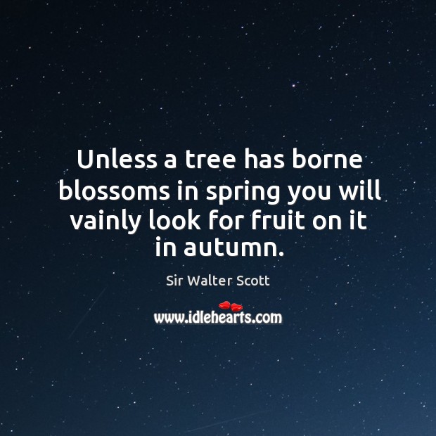 Unless a tree has borne blossoms in spring you will vainly look for fruit on it in autumn. Sir Walter Scott Picture Quote