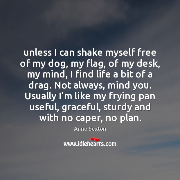 Unless I can shake myself free of my dog, my flag, of Image