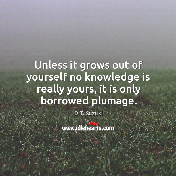 Unless it grows out of yourself no knowledge is really yours, it is only borrowed plumage. D.T. Suzuki Picture Quote