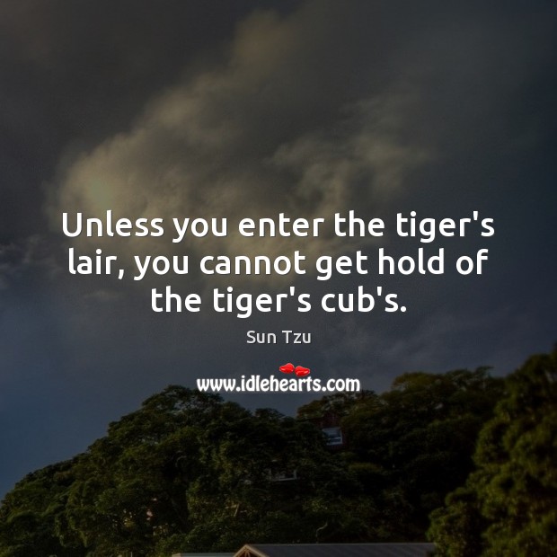 Unless you enter the tiger’s lair, you cannot get hold of the tiger’s cub’s. Sun Tzu Picture Quote