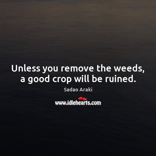 Unless you remove the weeds, a good crop will be ruined. Sadao Araki Picture Quote