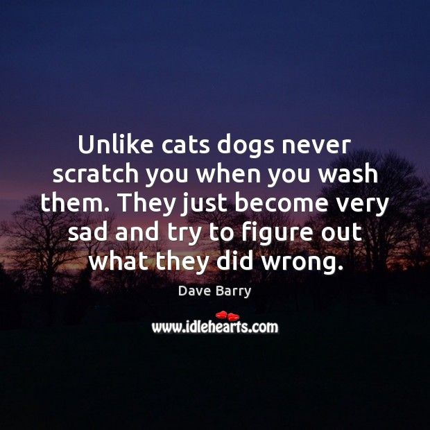 Unlike cats dogs never scratch you when you wash them. They just Dave Barry Picture Quote