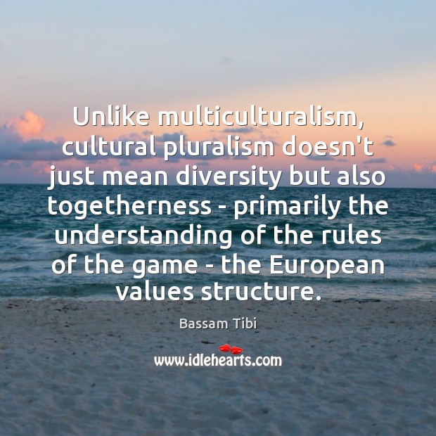 Unlike multiculturalism, cultural pluralism doesn’t just mean diversity but also togetherness – Bassam Tibi Picture Quote
