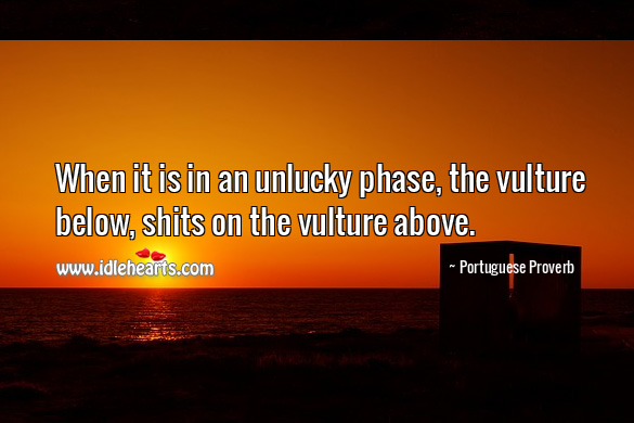 When it is in an unlucky phase, the vulture below, shits on the vulture above. Portuguese Proverbs Image