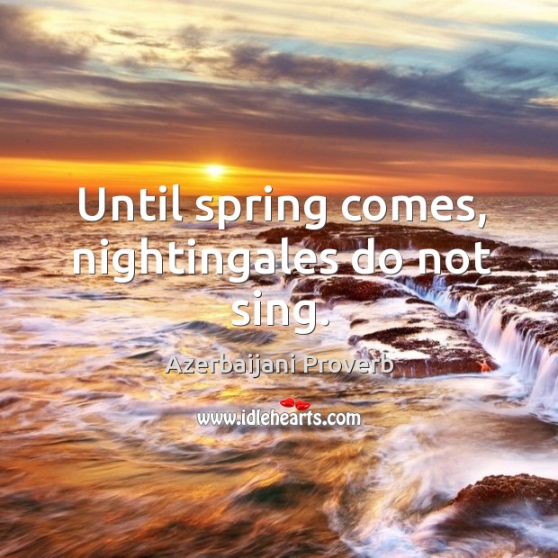 Until spring comes, nightingales do not sing. Azerbaijani Proverbs Image