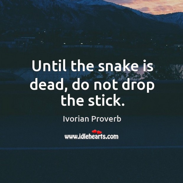 Until the snake is dead, do not drop the stick. Ivorian Proverbs Image