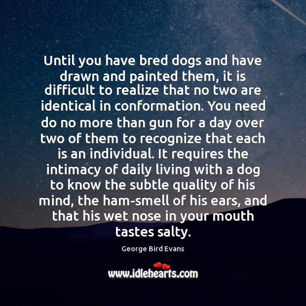 Until you have bred dogs and have drawn and painted them, it George Bird Evans Picture Quote