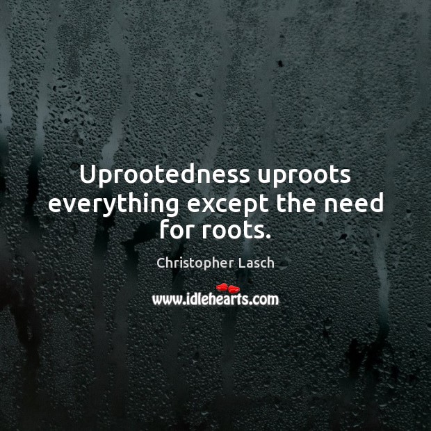 Uprootedness uproots everything except the need for roots. Image