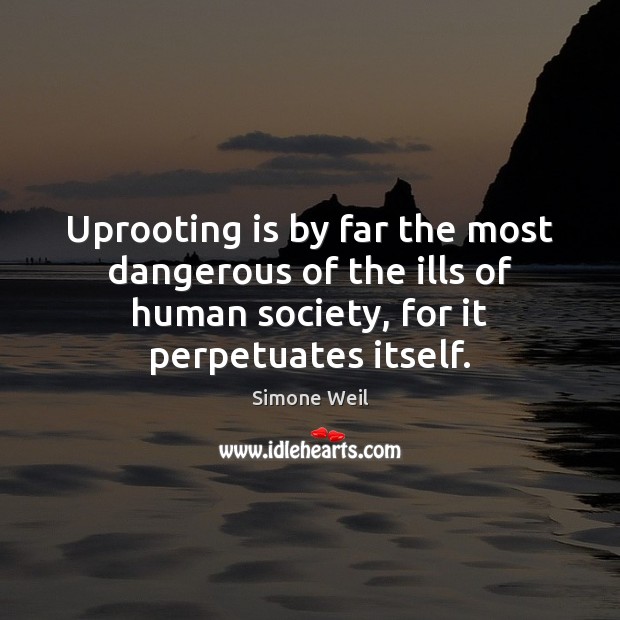 Uprooting is by far the most dangerous of the ills of human Simone Weil Picture Quote
