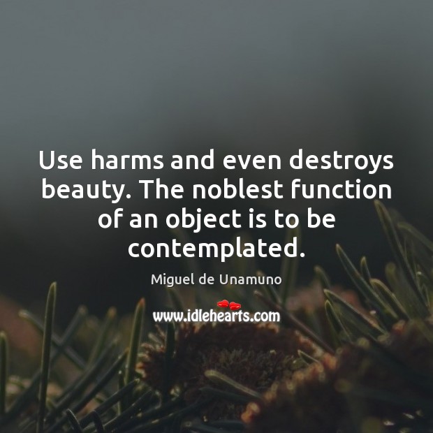 Use harms and even destroys beauty. The noblest function of an object Miguel de Unamuno Picture Quote