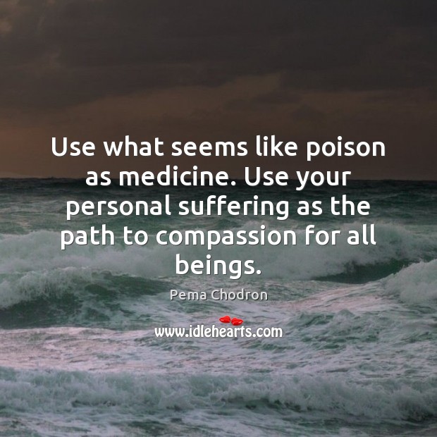 Use what seems like poison as medicine. Use your personal suffering as Pema Chodron Picture Quote