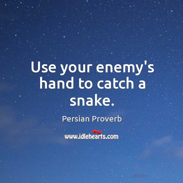 Use your enemy’s hand to catch a snake. Persian Proverbs Image